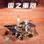 Iron Star Zhurong Mars Rover  3D Metal Puzzle DIY  Assemble Model Building Kits Laser Cut Jigsaw Toy Gift H62207